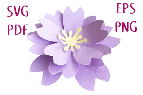 Download 3D Sakura Blossom Flower&nbsp;&nbsp; - Premium Resources